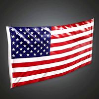 FGR - Wall Flag - PBR Game Ready