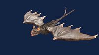 vampire bat