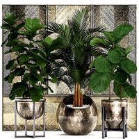 Decorative plants in flower pots for the interior 472