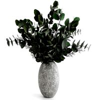 Eucalyptus bouquet