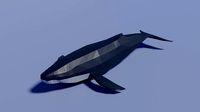 Cartoon Humpback Whale