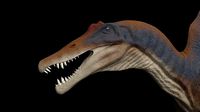 Spinosaurus aegyptiacus