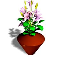 Lilies 3D Model