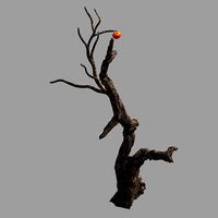 Fairy Trail Forest-Persimmon Tree 07