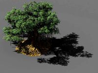 Fairy Trail-Banyan Tree 02