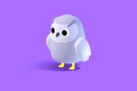 Soot the Snow Owl - Quirky Series