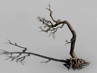 Qianhui Forest-Difu-Withered Tree 009