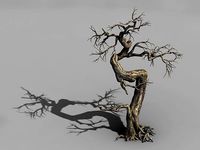 Qianhui Forest-Difu-Dead Tree 006