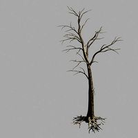 Roadside-Dead Tree 02