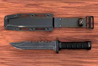 Combat Knife and Sheath