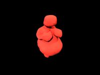 venus willendorf 4