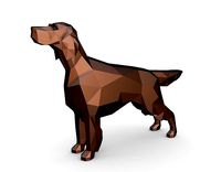 english setter | 3D