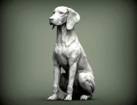 Hungarian vizsla  Hungarian Pointing Dog | 3D