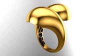 POLISHED FUSION RING-R13- | 3D