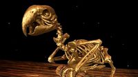Macaw Skeleton | 3D