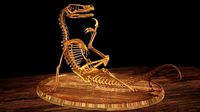 Velociraptor Skeleton Meme Diorama Philosoraptor | 3D