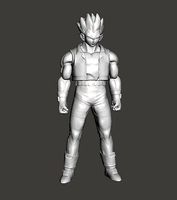 Vegeta jacket outfit Dragon Ball GT 3D Model | 3D