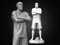 LeBron James 3D Printable 4S | 3D