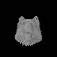 Collie - Handle | 3D
