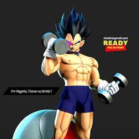 Vegeta with gym | 3D