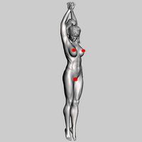 Christmas decorations Inception nude | 3D