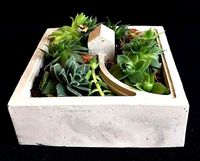 Mini Concrete Planter Box05 | 3D