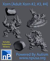 Xorn Adults - 3 variants | 3D