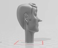 Woody toy mode face with removable eyes | 3D
