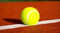 Tennis Ball | 3D