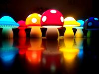 Mushroom Lamp C | 3D