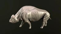 Elasmotherium | 3D