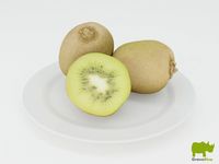 Kiwi3d model