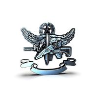 Eagle with a star | 3D