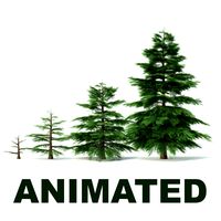 Fir tree - animation of growth3d model