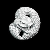 Snake decor | 3D