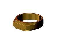 Rectangular stepped signet ring US sizes 5to13 | 3D