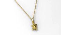 Tortoise Pendant | 3D
