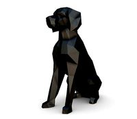 Brittany Spaniel  Epagneul Breton | 3D