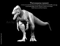 Torvosaurus tanneri | 3D