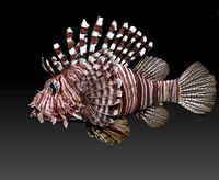 Lionfish fish | 3D