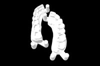 TRAINING TEETH FOR DENTAL STUDENTS | 3D