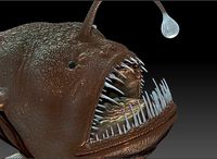 Angler fish | 3D