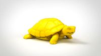 Tortoise | 3D