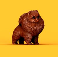 Pomeranian dog | 3D