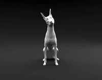 Doberman Pinscher sitting and tilting head for 3D printing | 3D