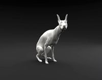 Doberman Pinscher pooping intended for 3D printing | 3D