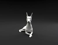 Doberman Pinscher laying down intended for 3D printing | 3D