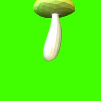 Porcini mushroom  163943 | 3D