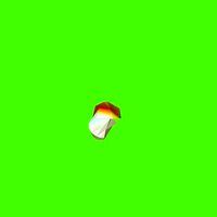 Porcini mushroom 163234 | 3D