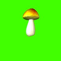 Porcini mushroom 160708 | 3D